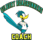 gilbertroadrunnercoach